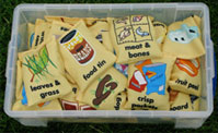 The bean bag game