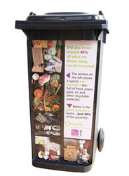 Wheelie Bin Display